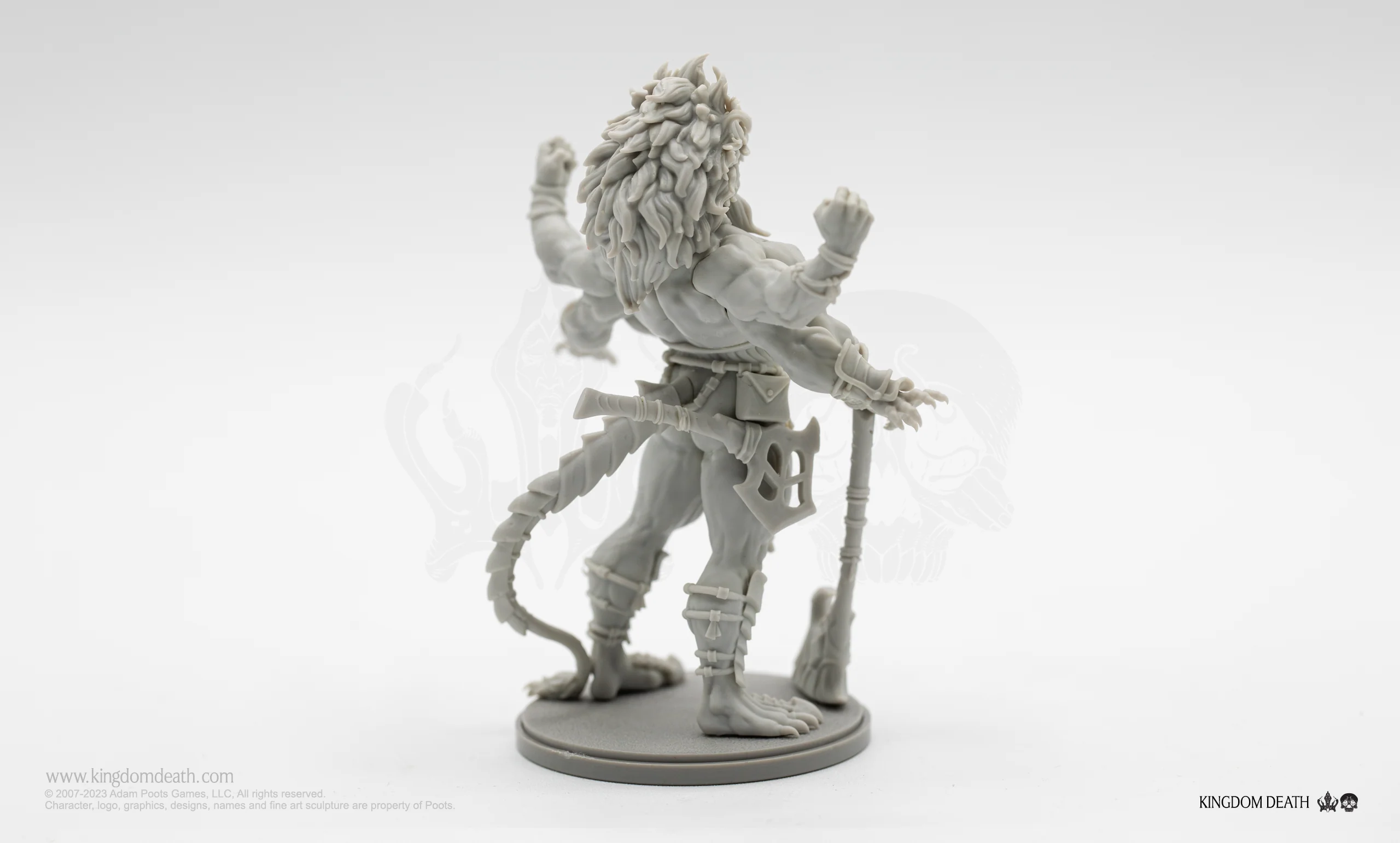 Lion Champion - Image 7